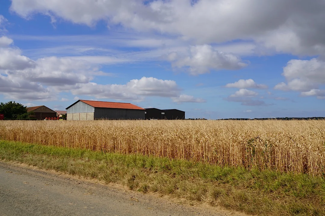 DAY SEVENTEEN: MONTDIDIER TO CRESSONSACQ