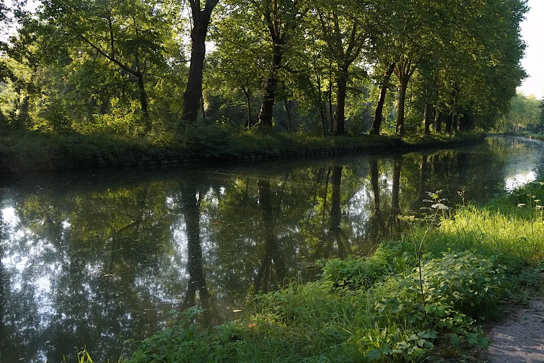 DAY THIRTY FOUR: DORDIVES TO MONTARGIS