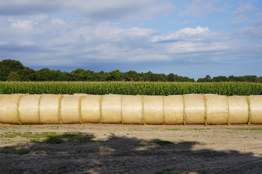 DAY THIRTY NINE: BRINON-SUR-SAULDRE TO MENETREOL-SUR-SAULDRE