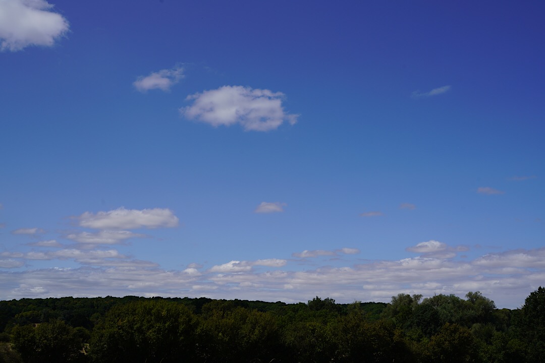 A67E5CE7-DC51-4837-87EC-C42D749967BD.jpeg