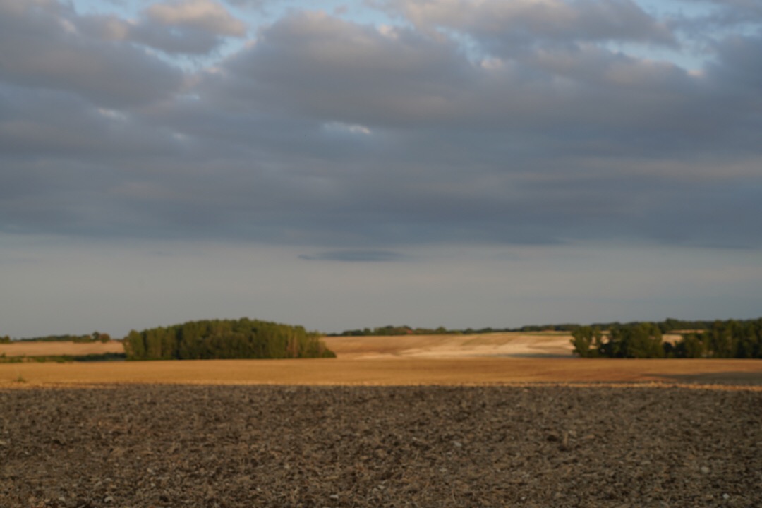 5266ABFF-2505-4FC3-B56F-A989EB2F165D.jpeg