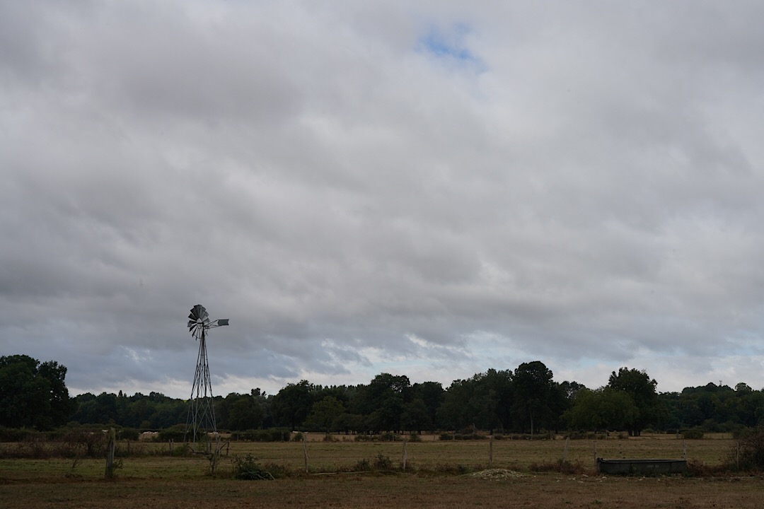 34726CD8-425D-4487-96DF-F8D08AD5380D.jpeg