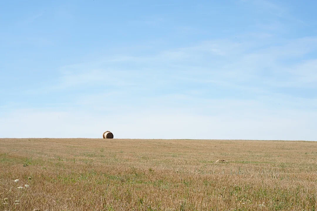 DAY FIFTY FOUR: SAINT RÉMY DE BLOT TO LOUBEYRAT