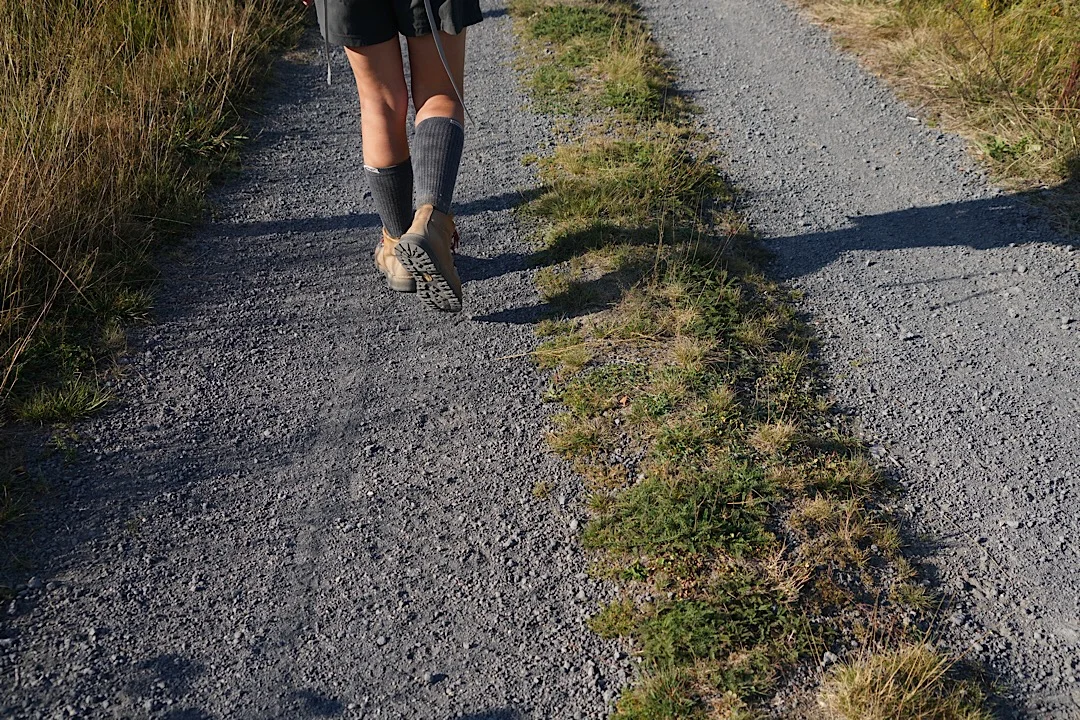 DAY SEVENTY THREE: FOURNELS TO NASBINALS