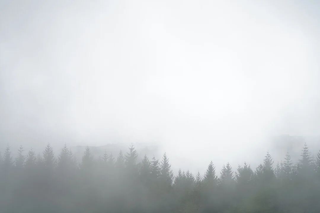 DAY SEVENTY FIVE: L’AUBRAC TO SAINT CÔME D’OLT