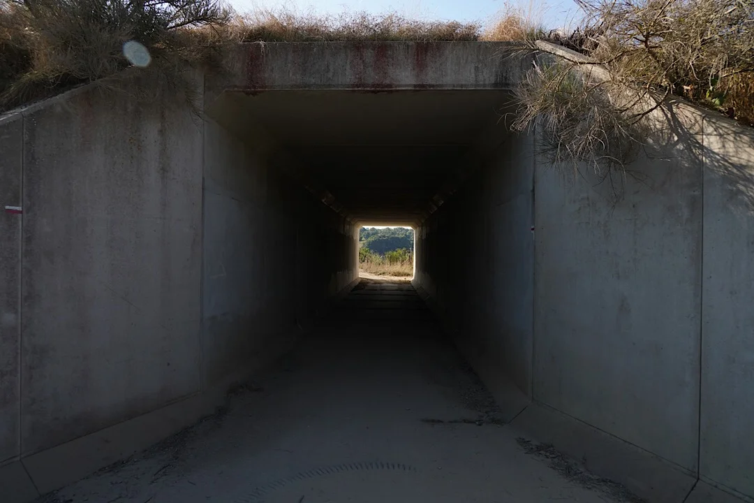 DAY SEVENTY NINE: PONT DE SALARS TO SALLES CURAN