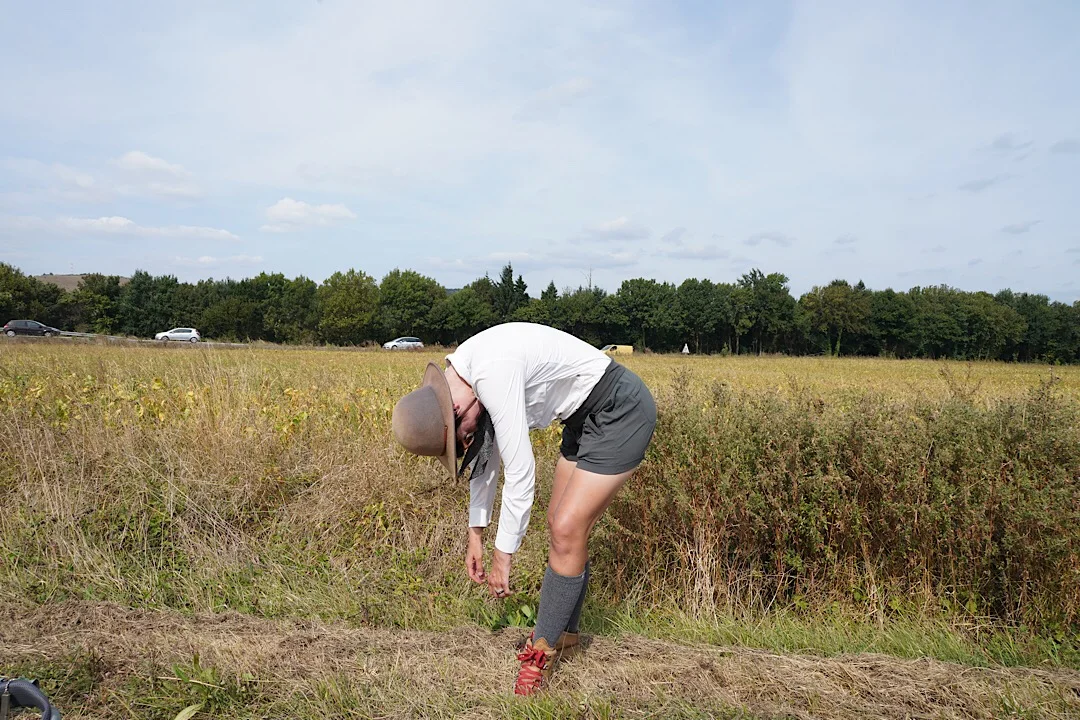 DAY EIGHTY SEVEN: CASTRES TO MAZAMET