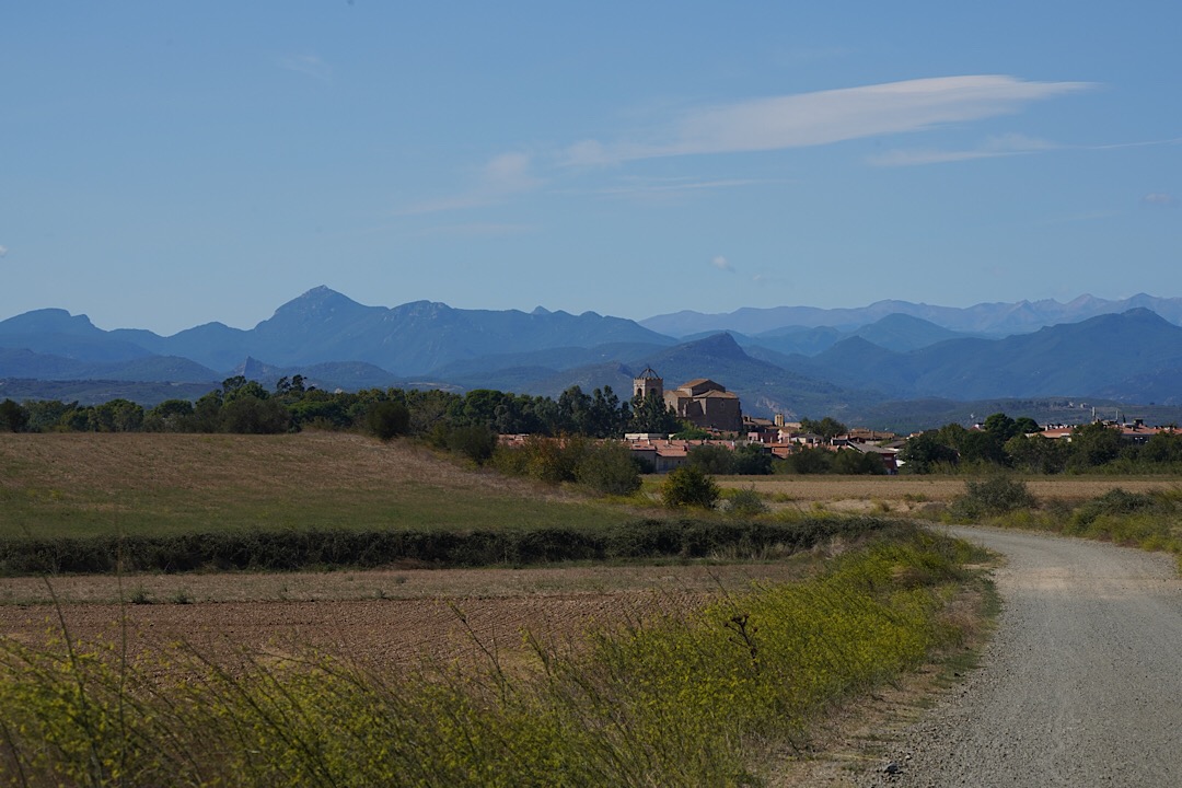 IMG_07871(42).jpg