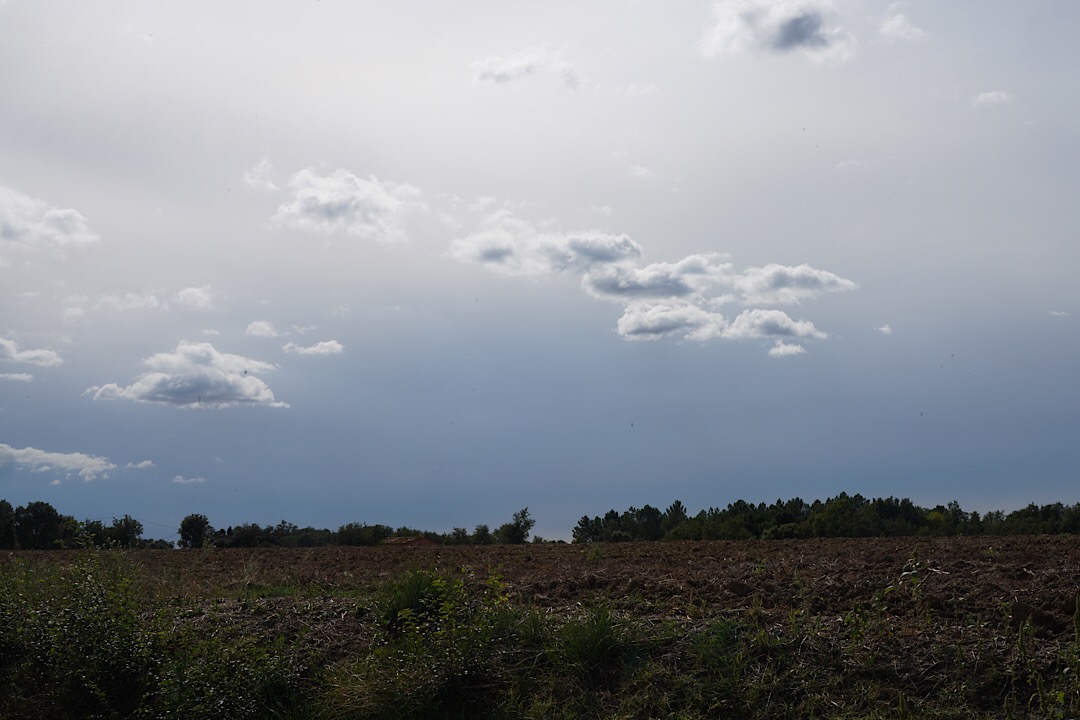 IMG_08233(75).jpg