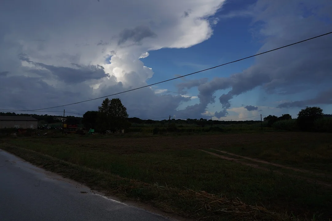 IMG_08548(38).jpg