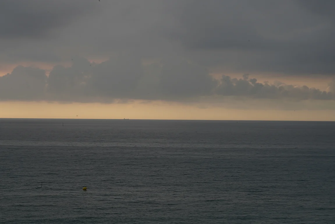 DSC08960.jpg