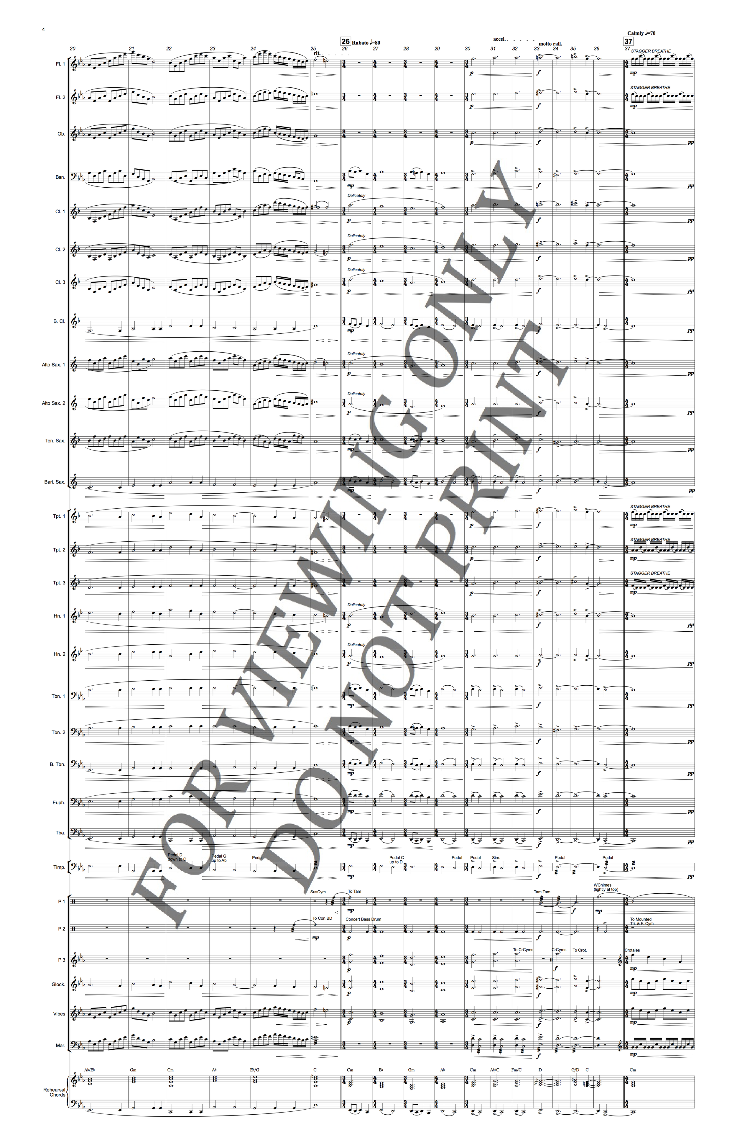 Christopher Sakowski Music For a Friend 4