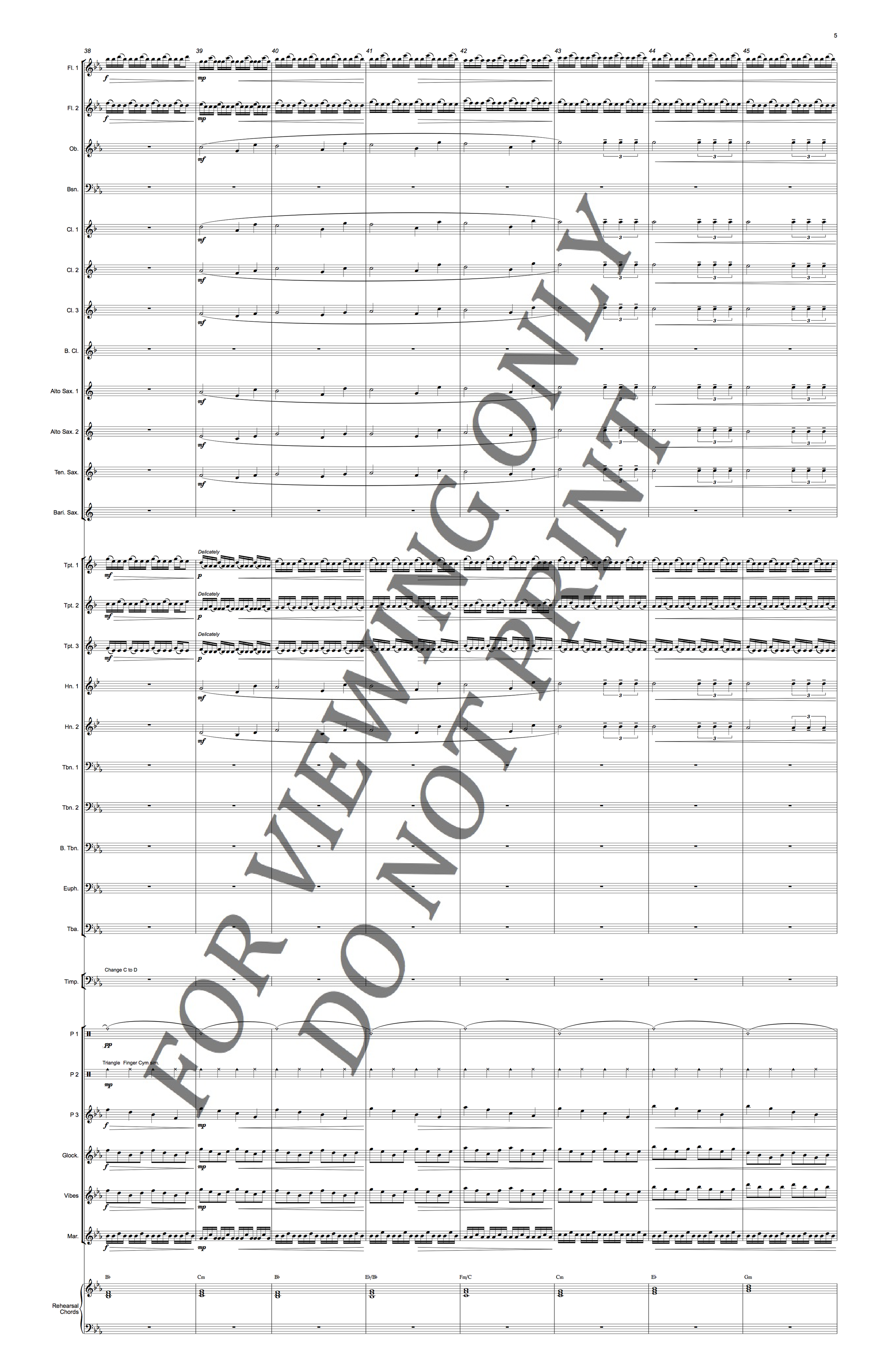 Christopher Sakowski Music For a Friend 5