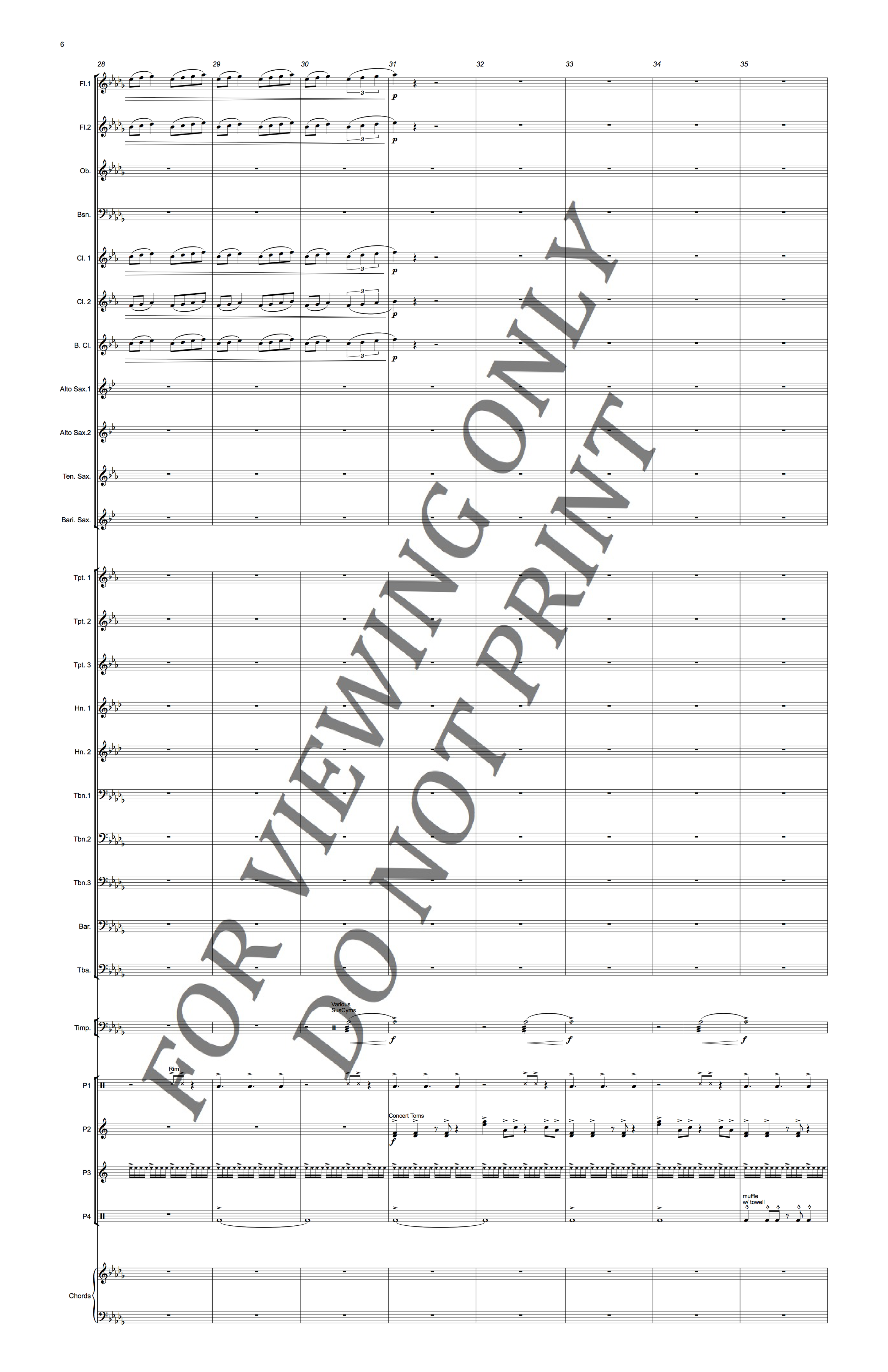 Christopher Sakowski Music Parallel Reflections 6
