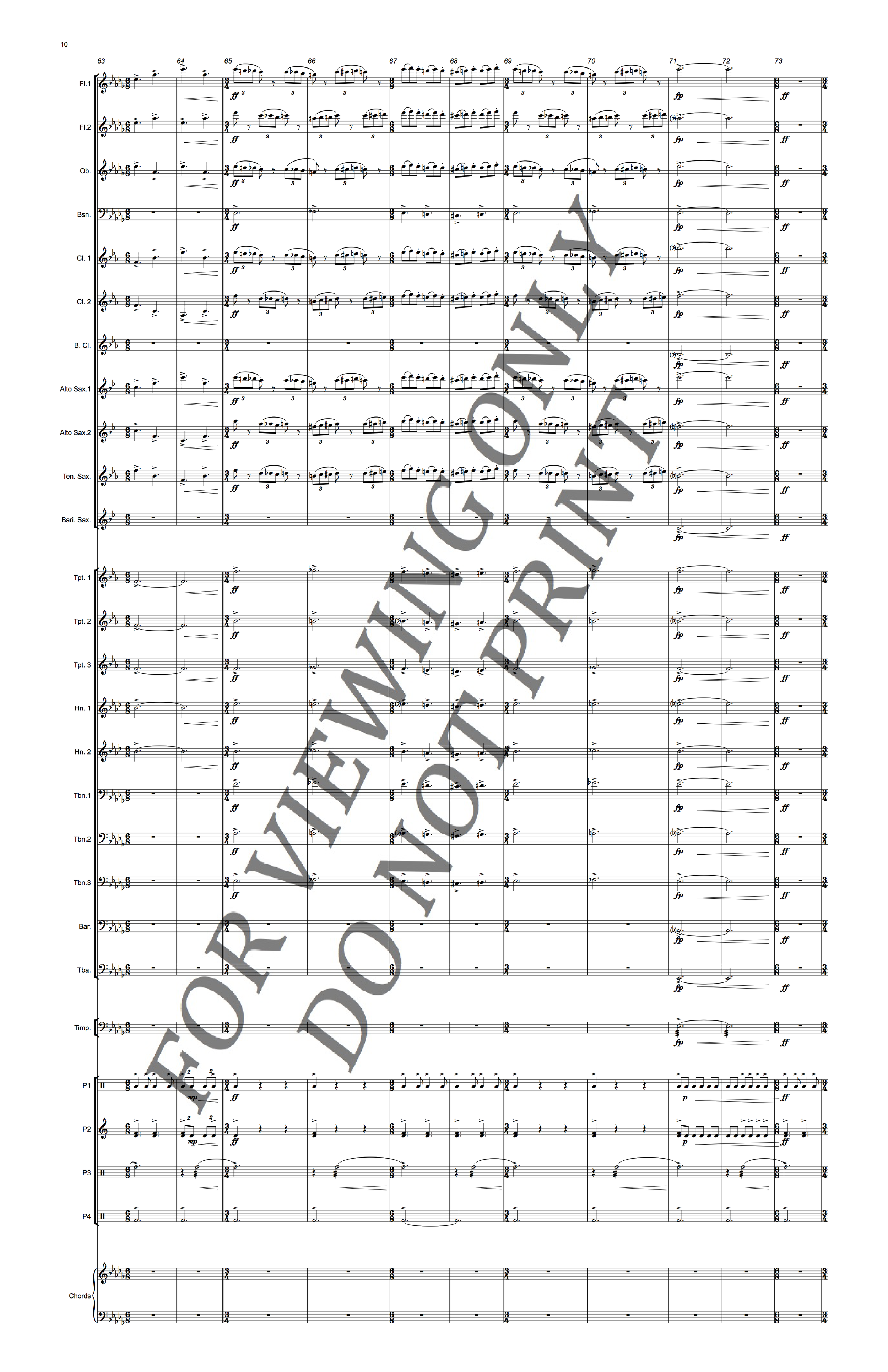 Christopher Sakowski Music Parallel Reflections 10