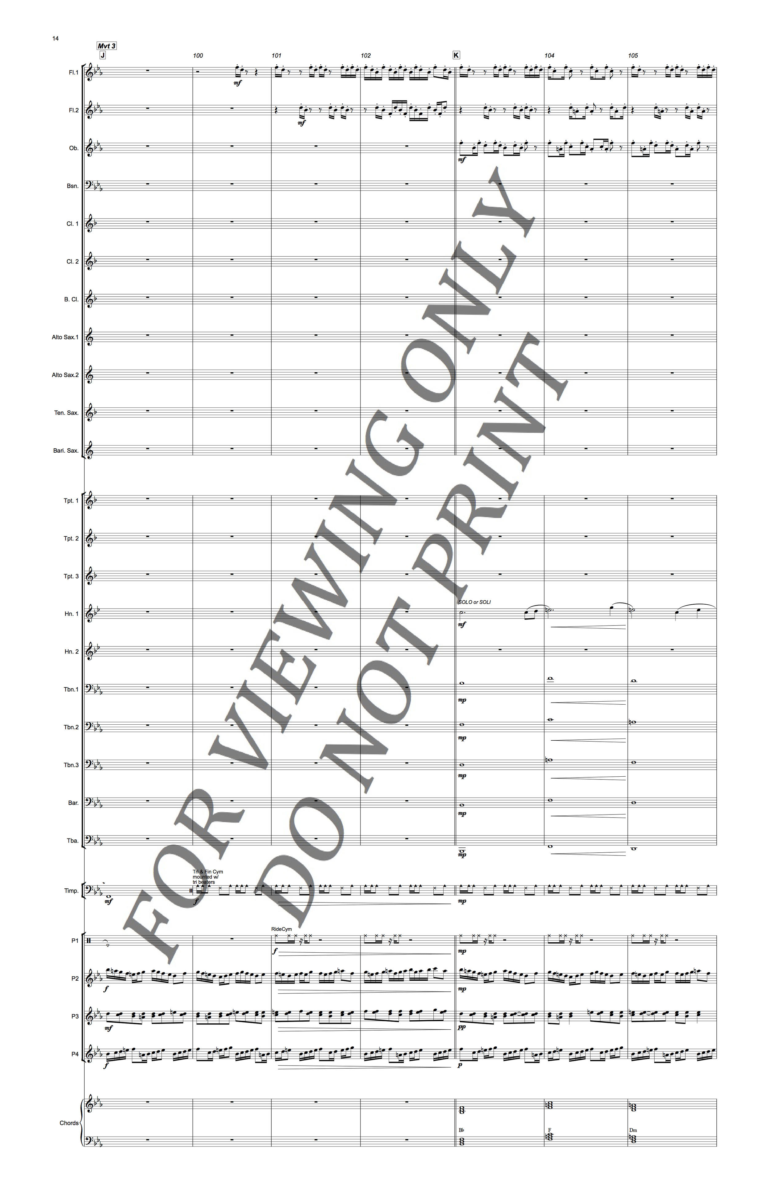 Christopher Sakowski Music Parallel Reflections 14