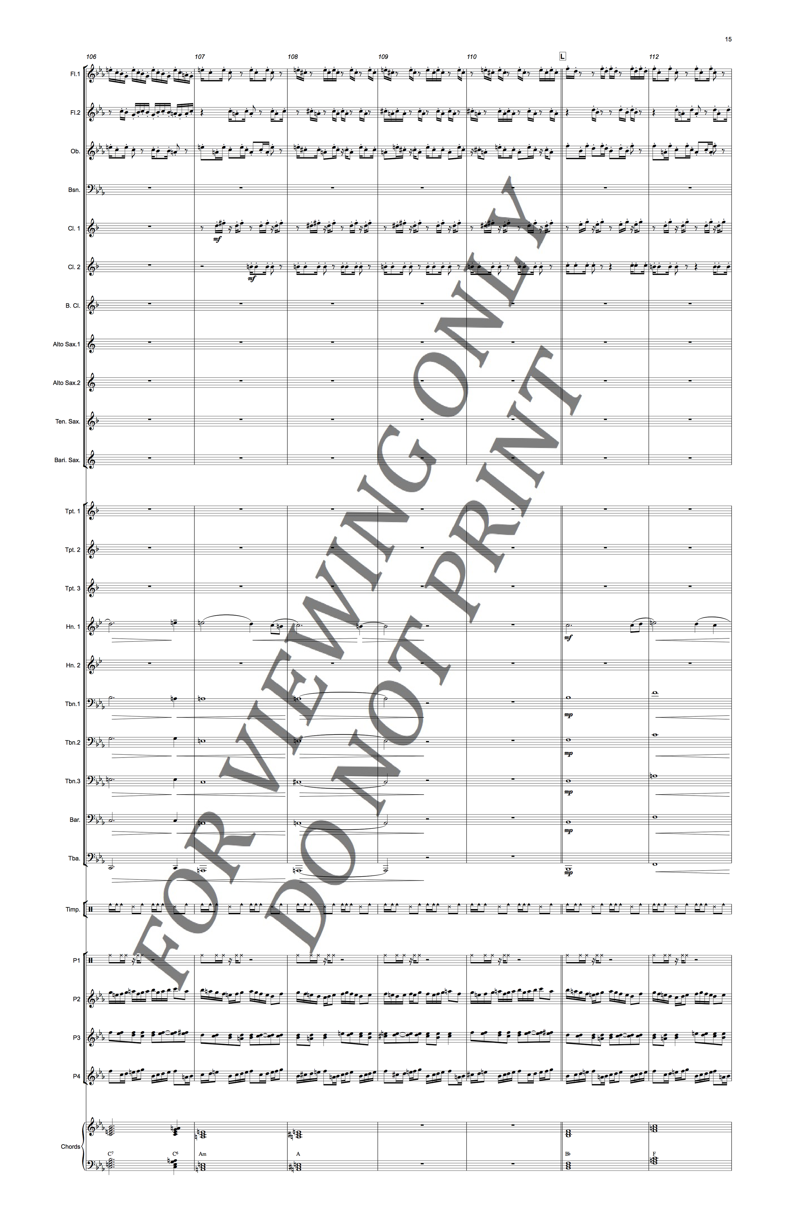 Christopher Sakowski Music Parallel Reflections 15