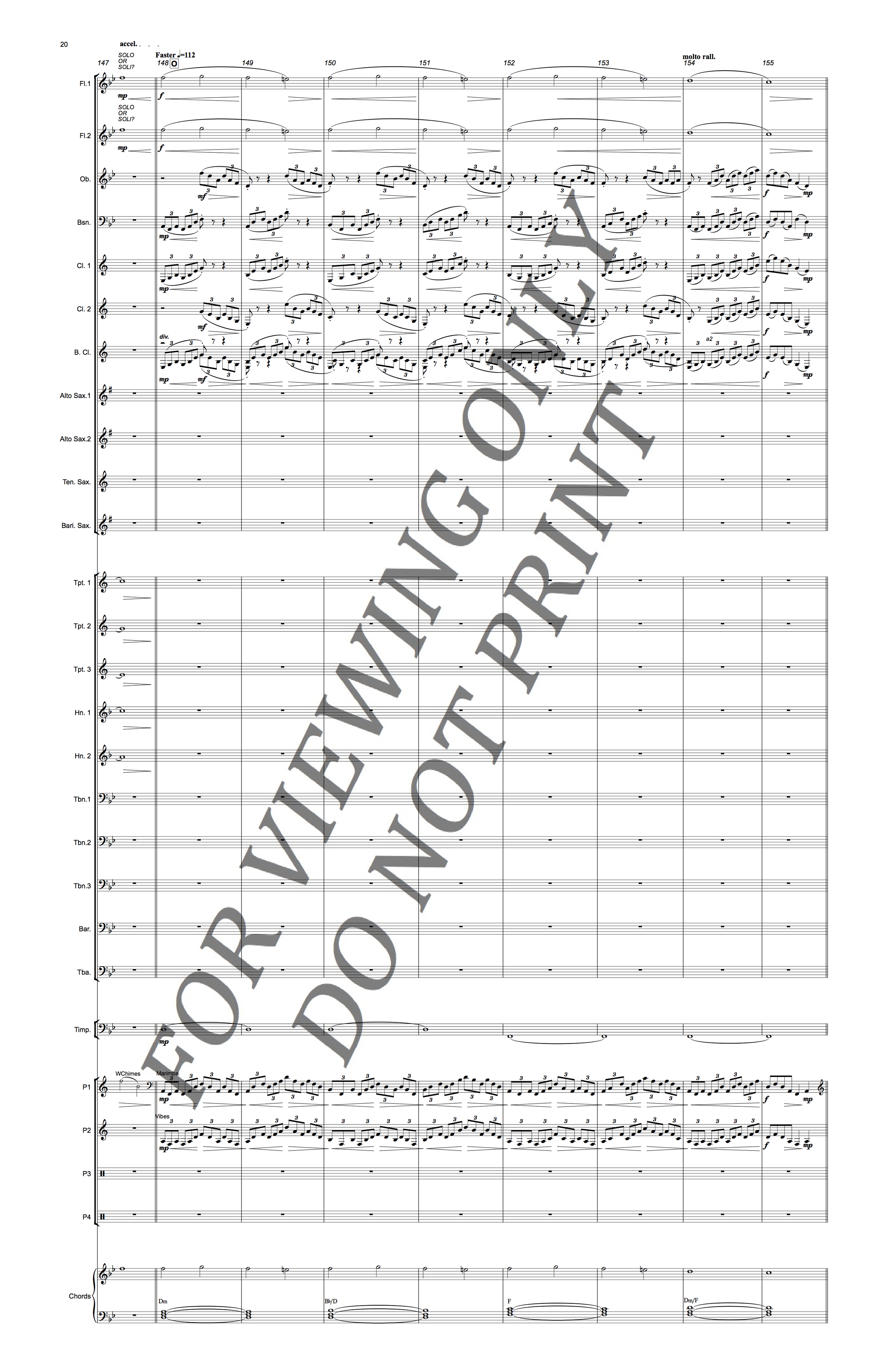 Christopher Sakowski Music Parallel Reflections 20