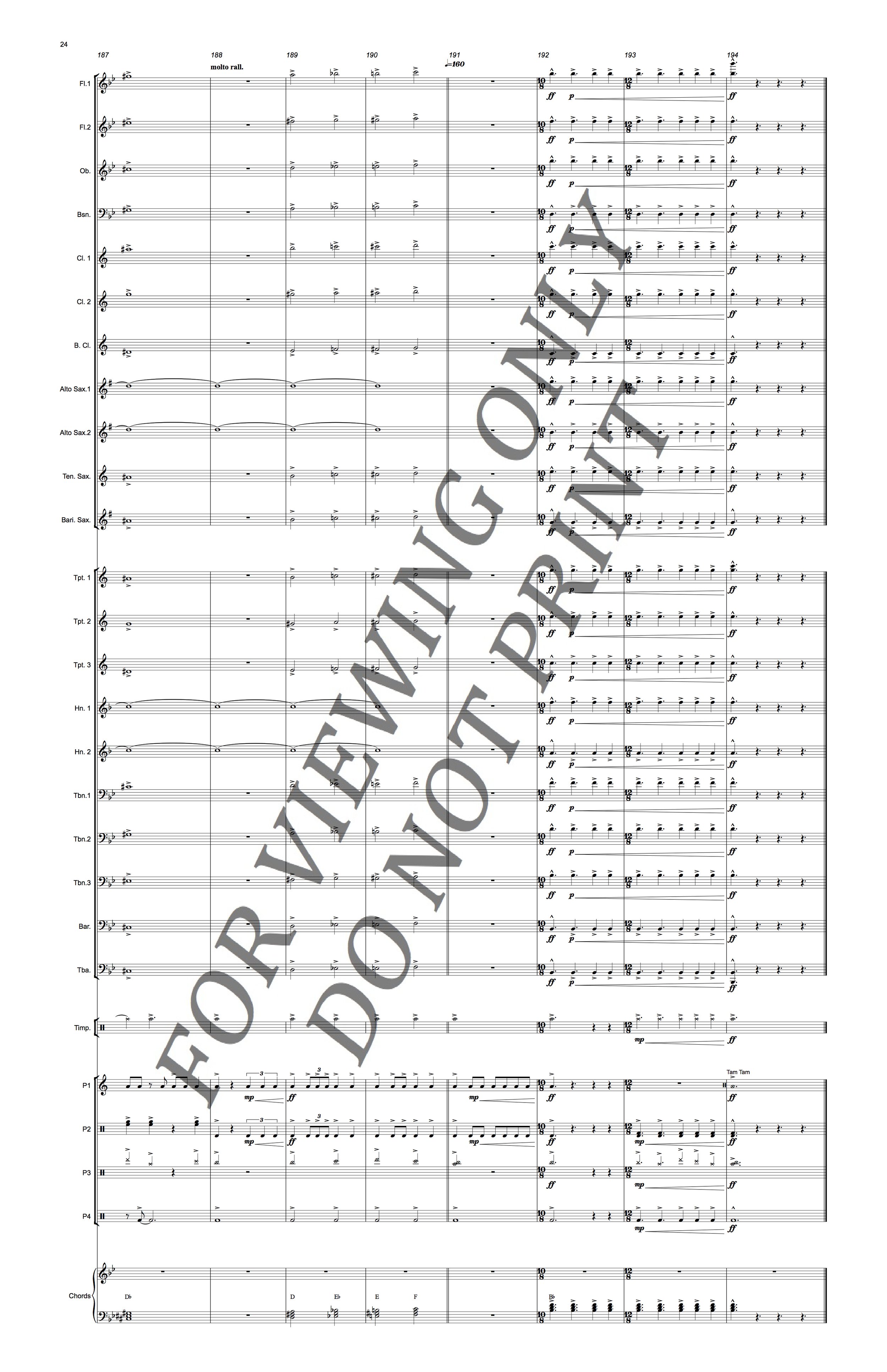 Christopher Sakowski Music Parallel Reflections 24