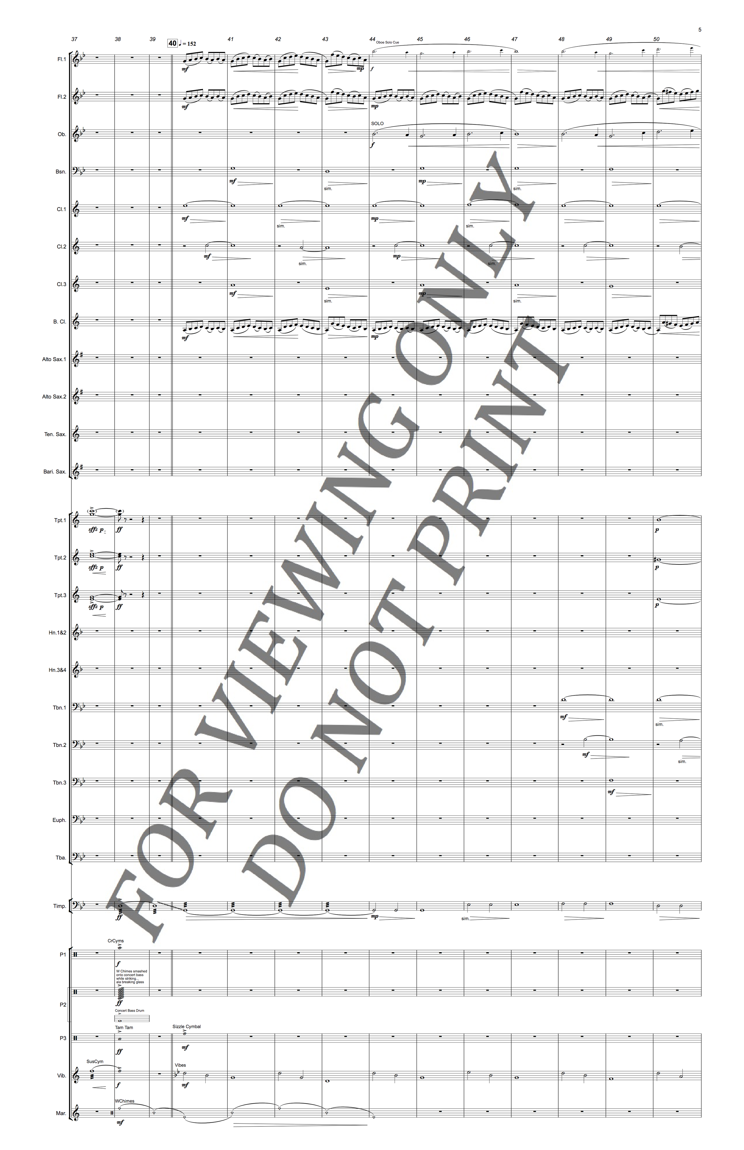 Twilight Fanfare & Fantasy V.2.5 For Viewing Only_0005.png