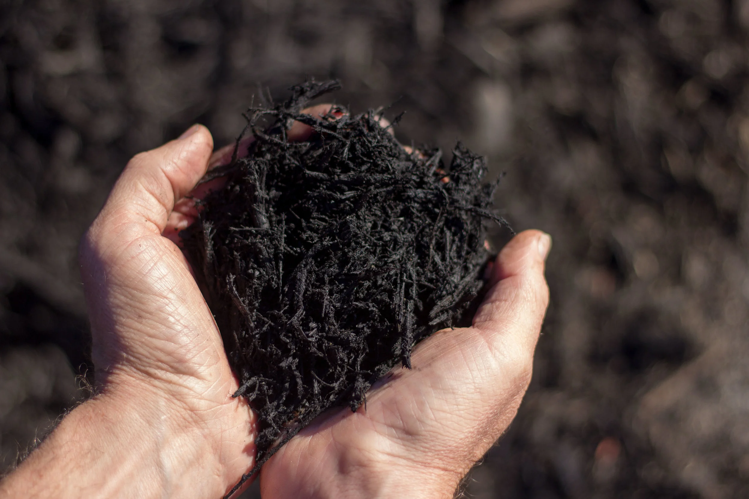 MulchBlack.jpg