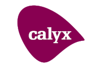 Calyx Logo wide large.png