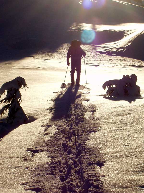 Snowy-Skier-Sunset.jpg