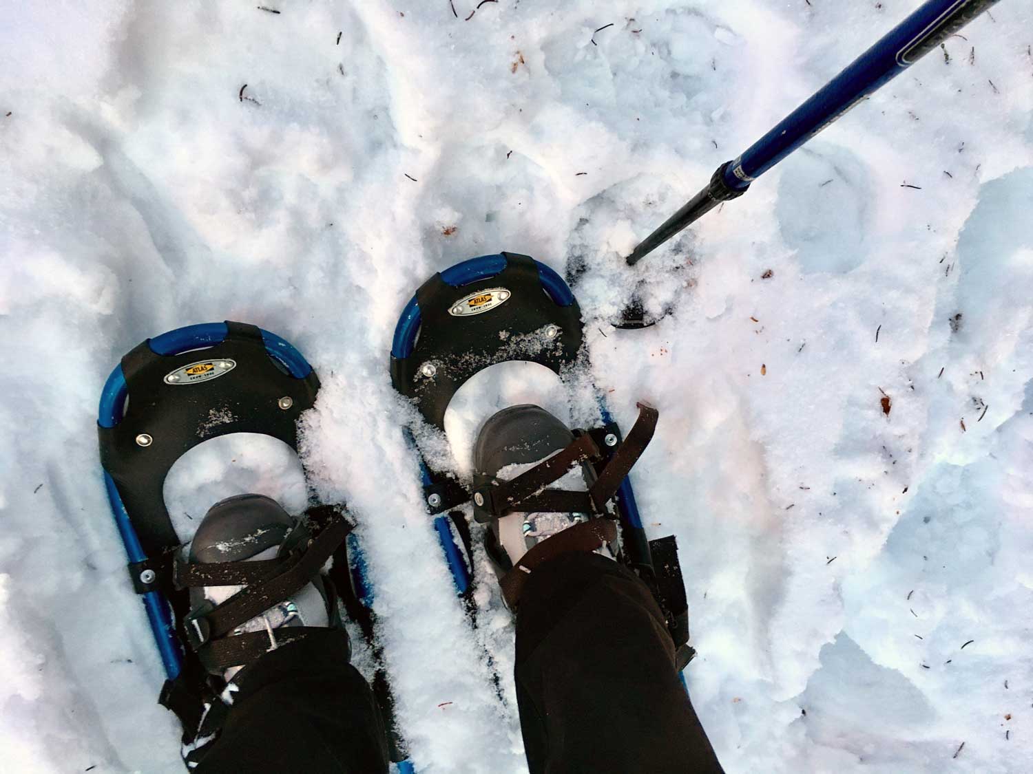 Feet-in-Snowshoes.jpg