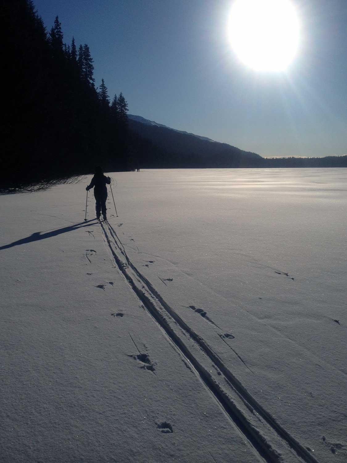 Solo-Skier-Low-Angle-Sun-Bear-Lake.jpg