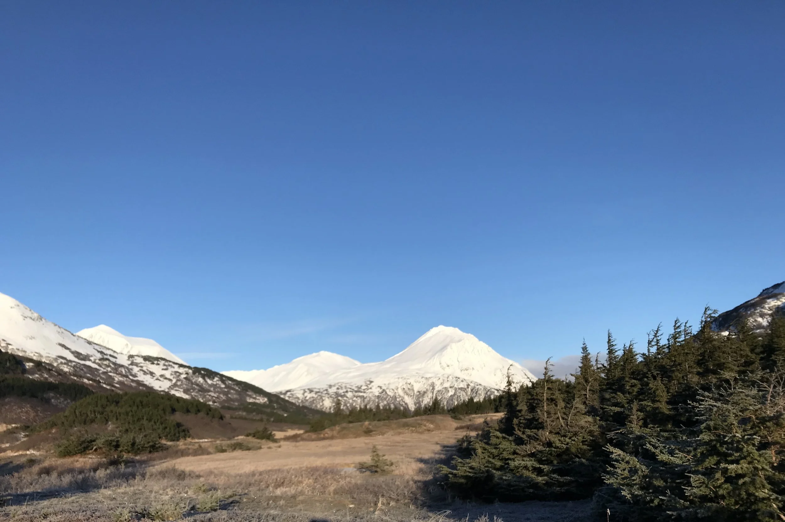 Seward Ranger District-November 29, 2018