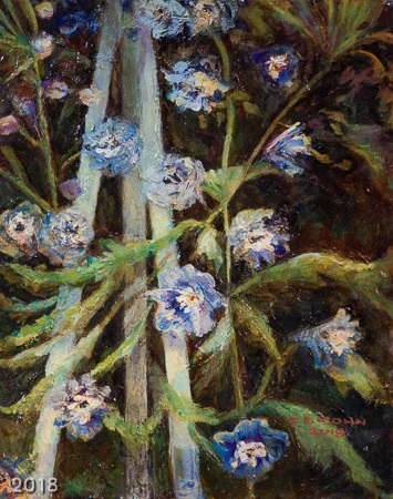 Delphinium_by_Night.jpg