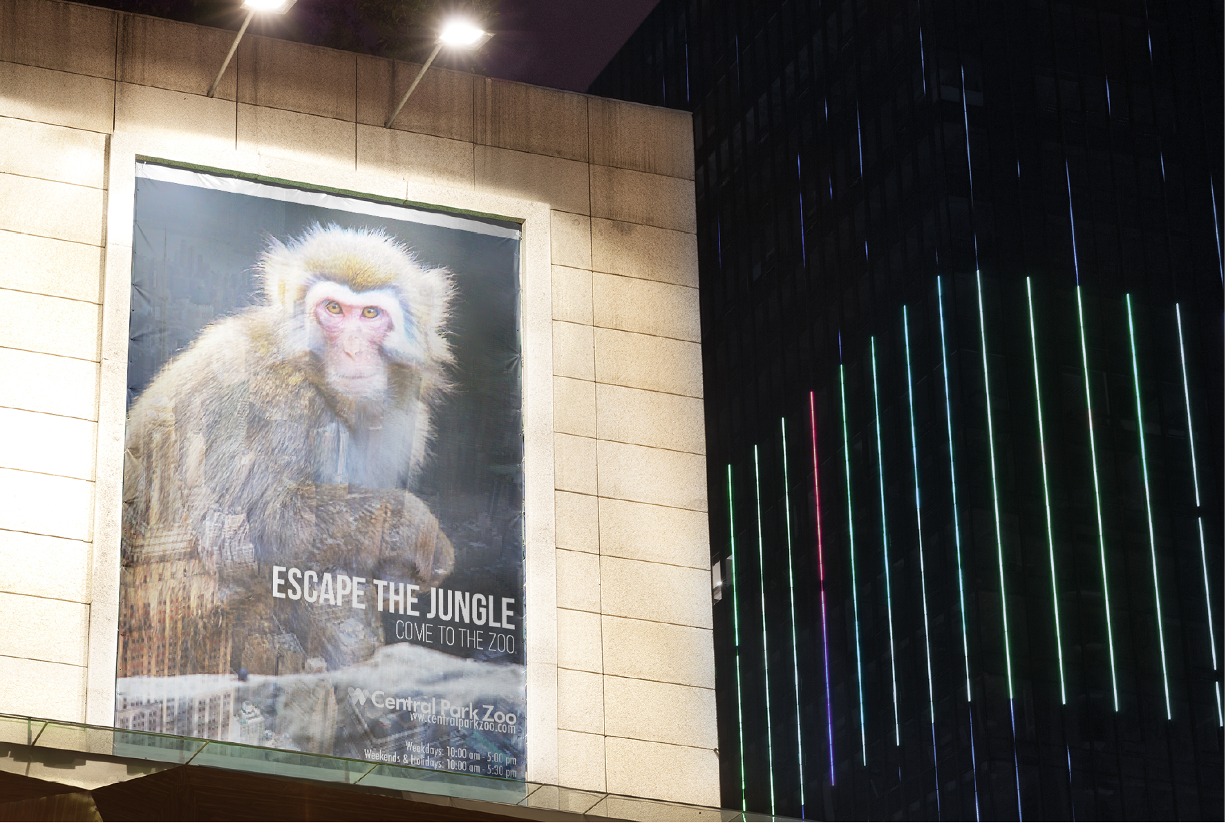 Screen Shot 2018-06-08 at 2.49.51 PM.png