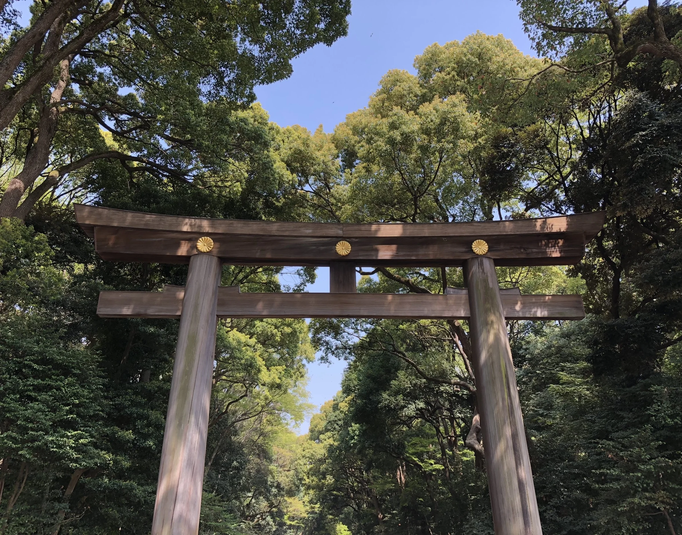 Let S Go Japan Travel Services