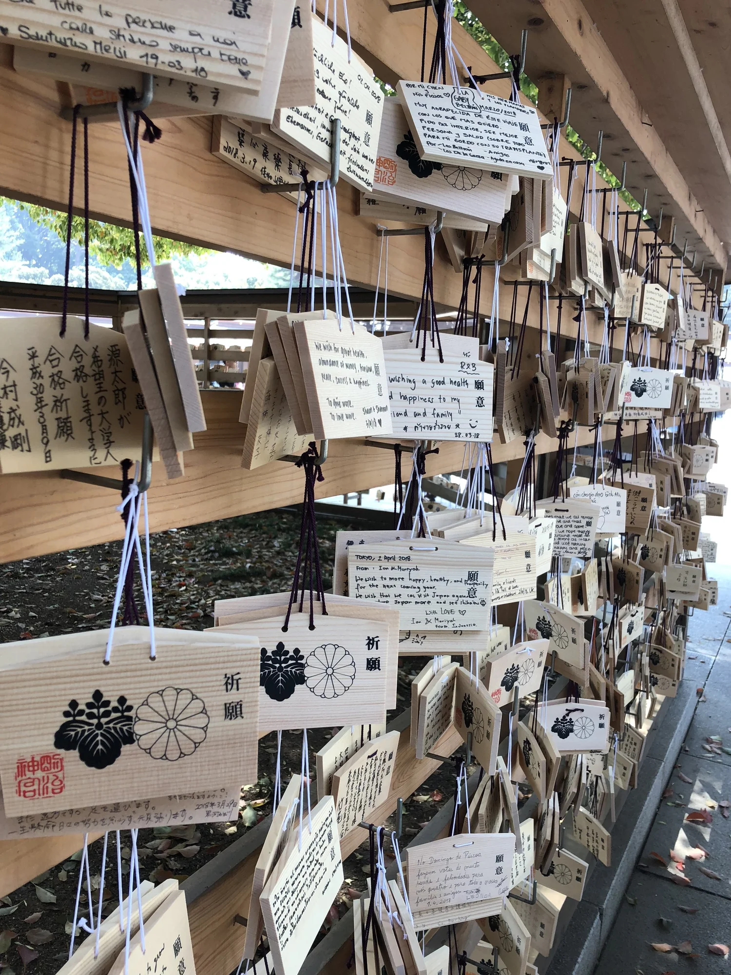 Experience That Matters Let S Go Japan Travel Services
