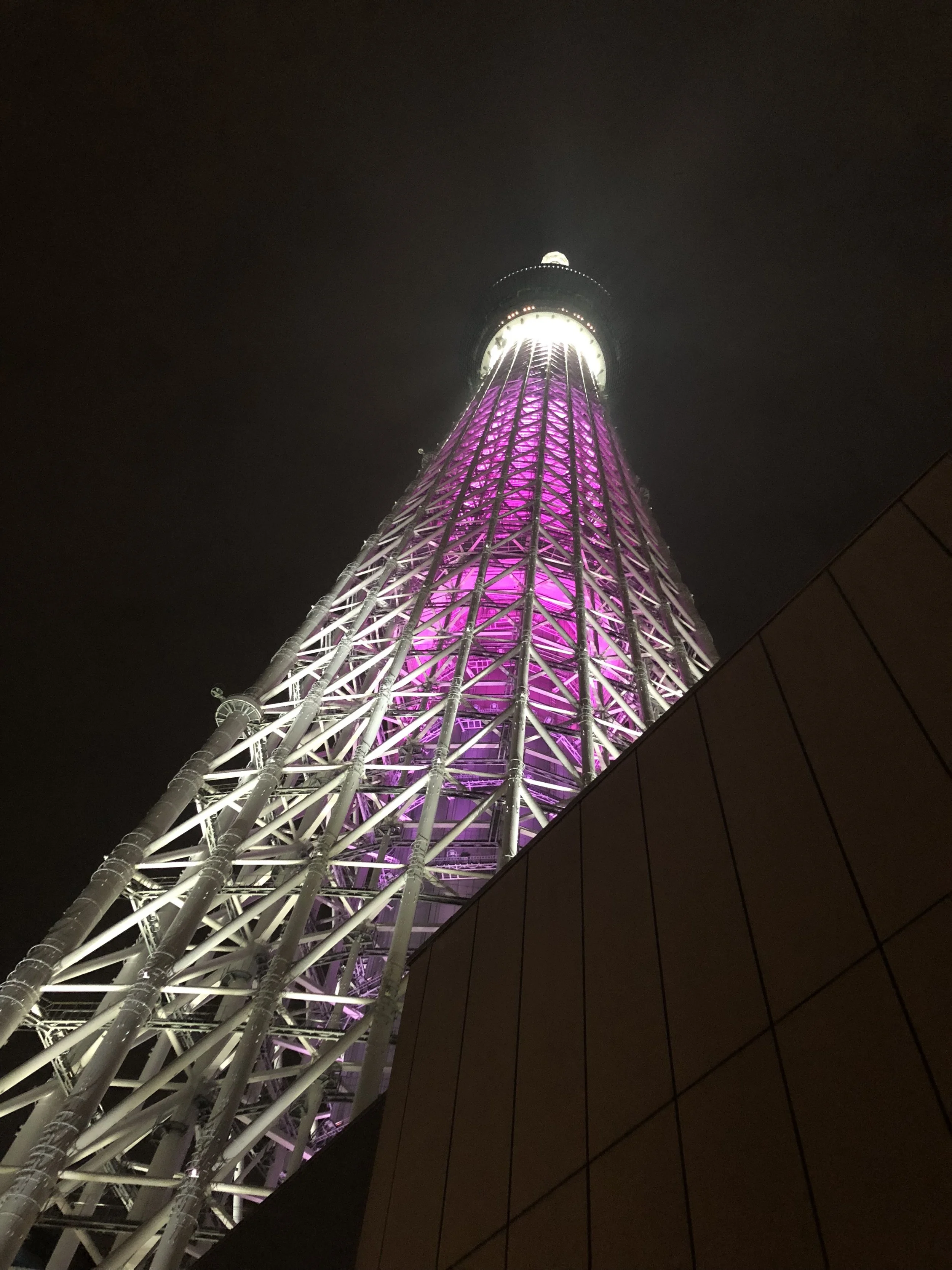 Blog Let S Go Japan Travel Services
