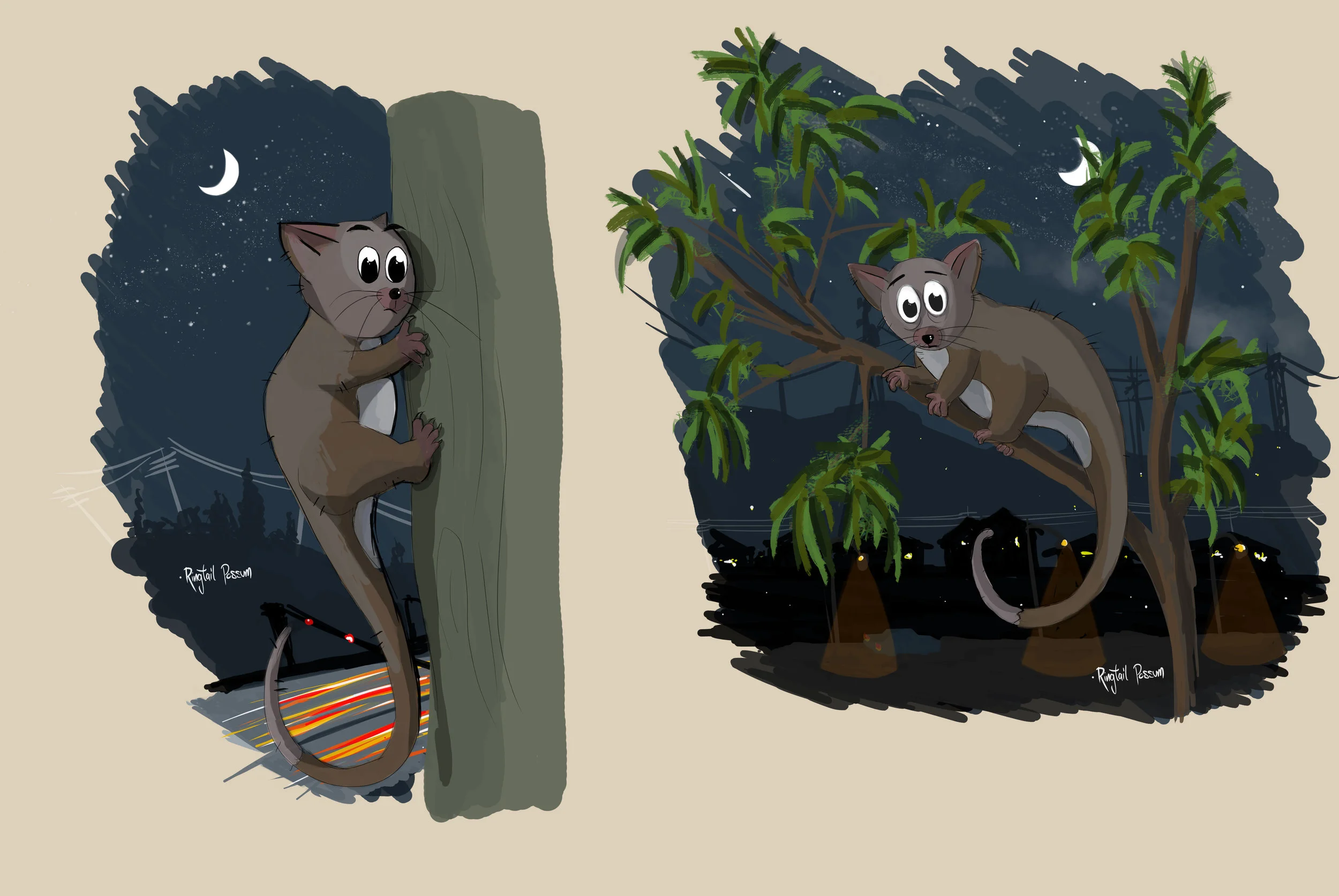 Ringtail_Possum.jpg