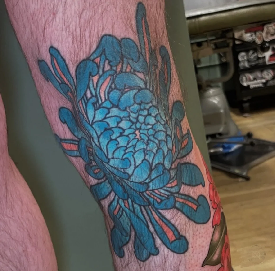 3 year healed chrysanthemum by Heidi Sandhorst. 

@nopathinthesky would love to create some whimsical critters/ flora/ fauna/
still life/ botanical illustration/ snakes &amp; insects tattoos this Spring before heading into Summer.

Email Heidi down b