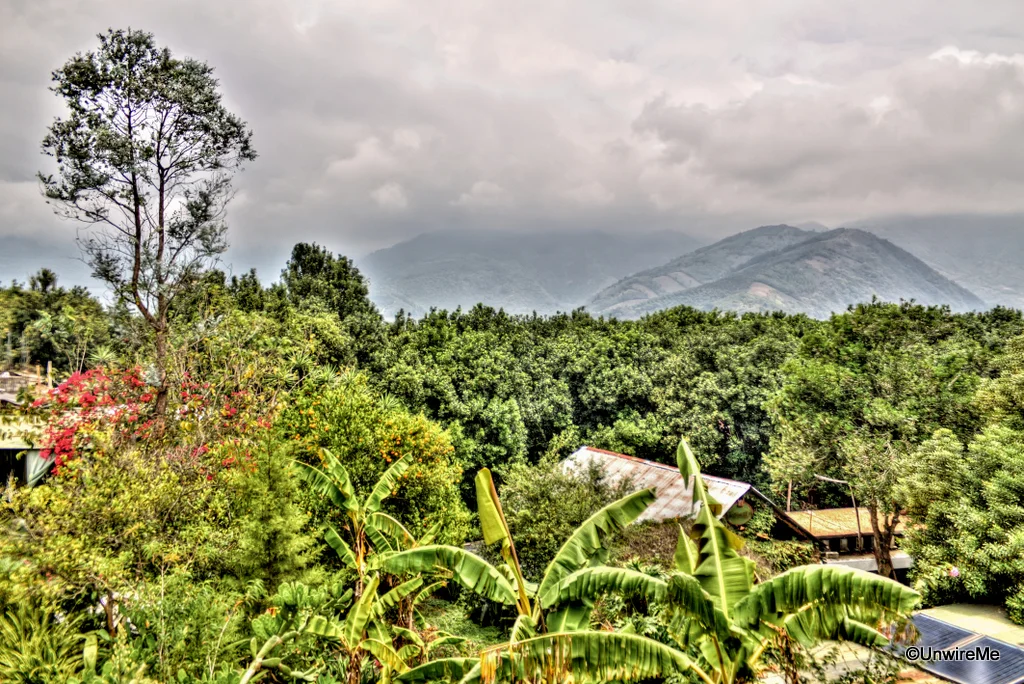 Valhalla-Macadamia-Farm-Antigua-Guatemala-3-2.jpg