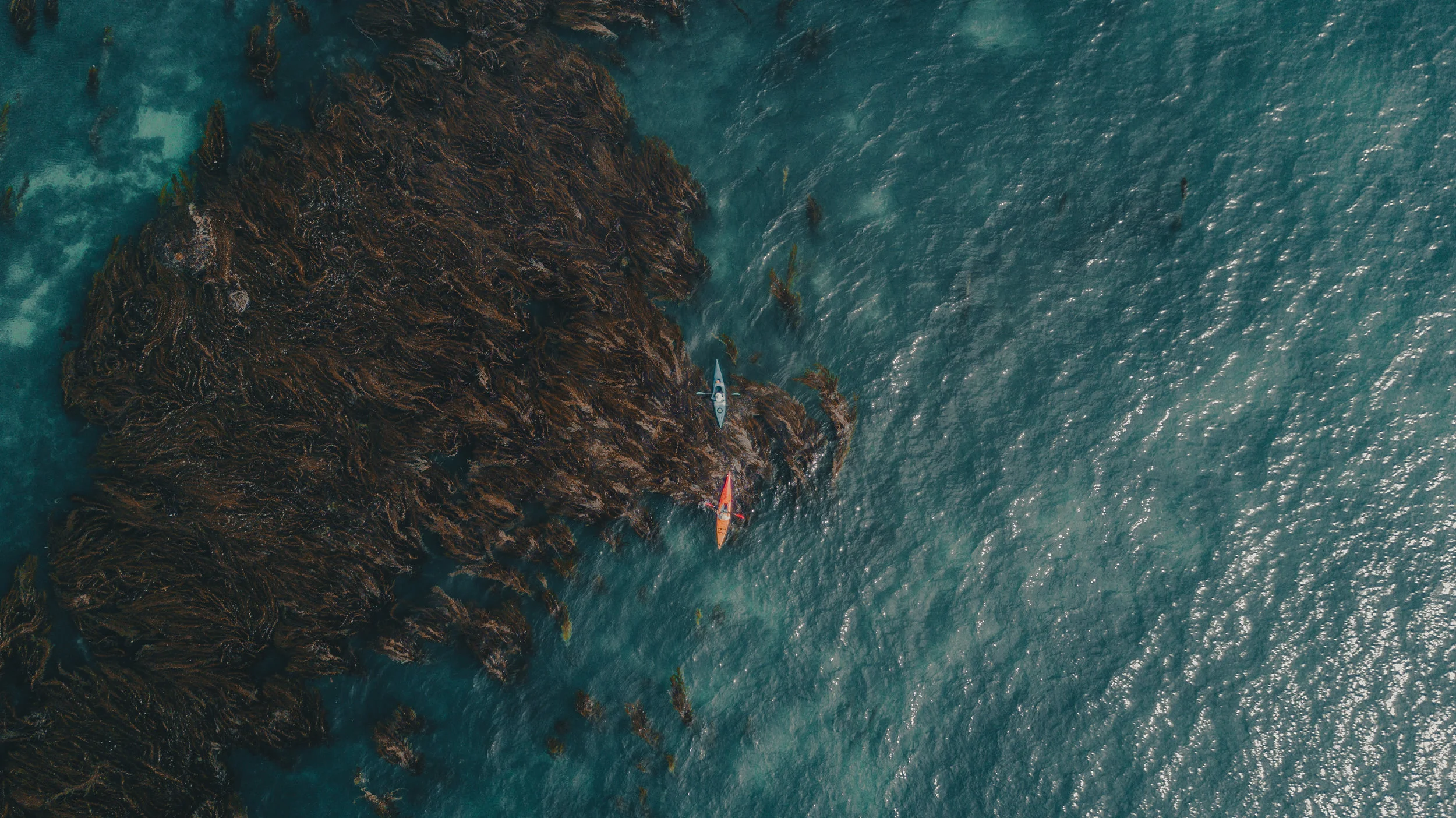 DJI_0453.jpg