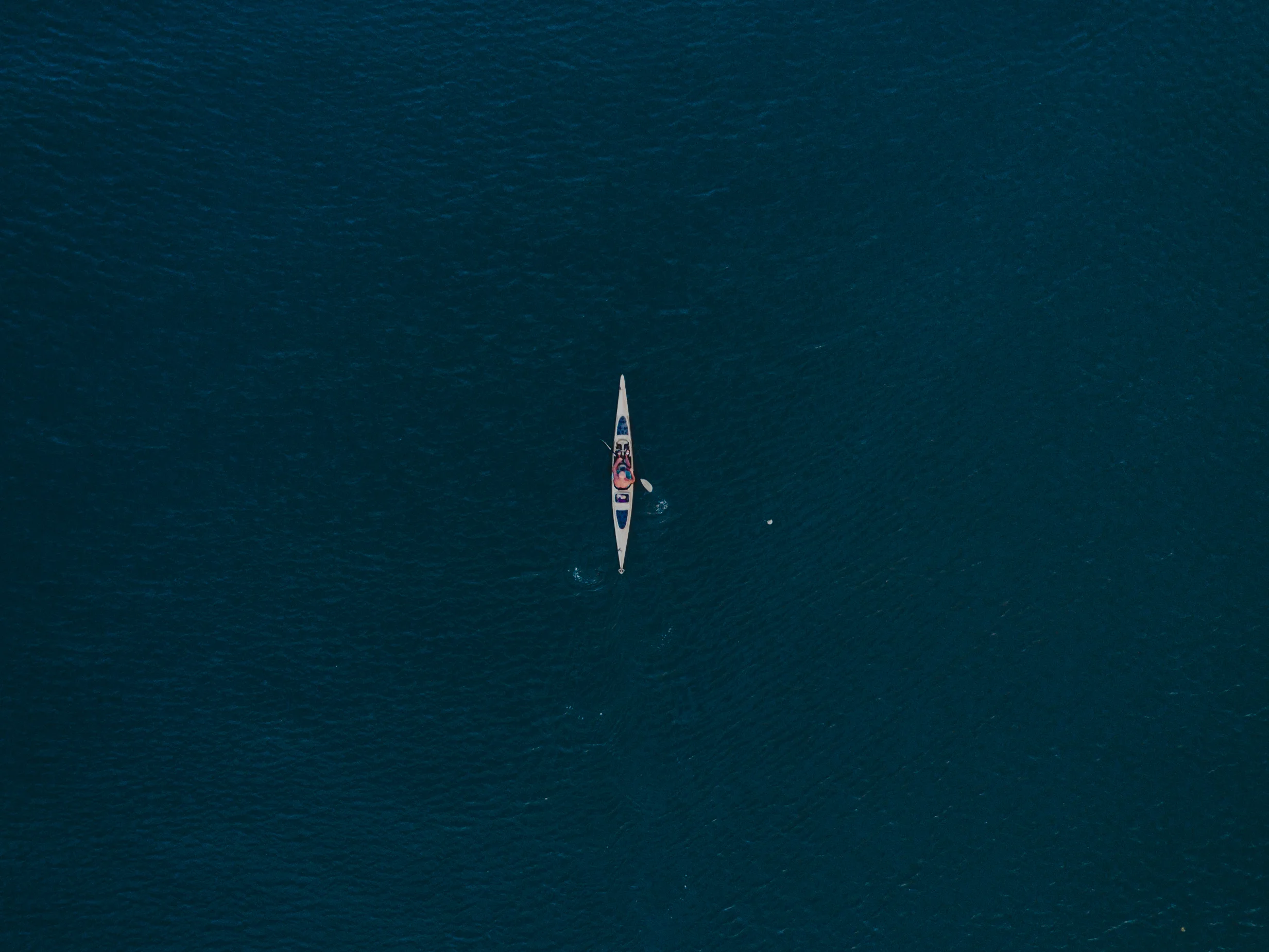DJI_0878.jpg
