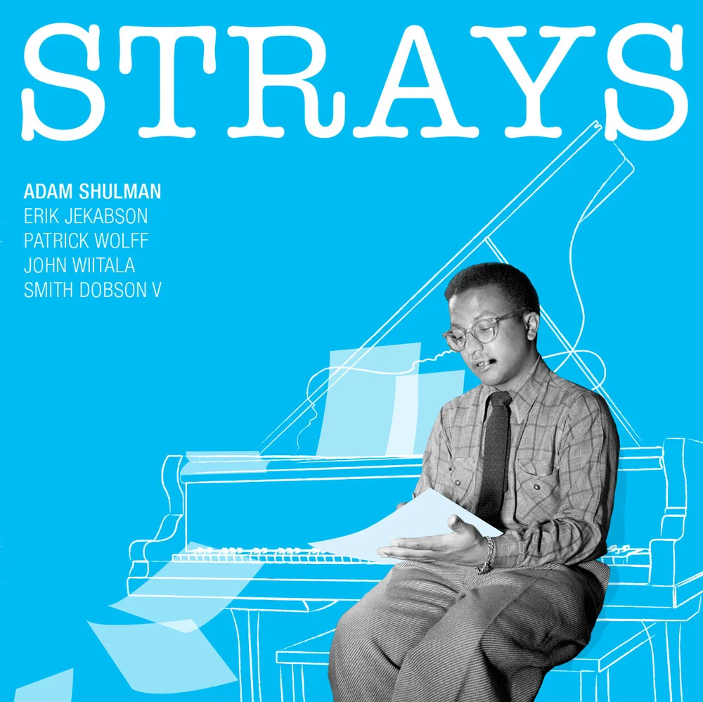 Strays_cover.jpg
