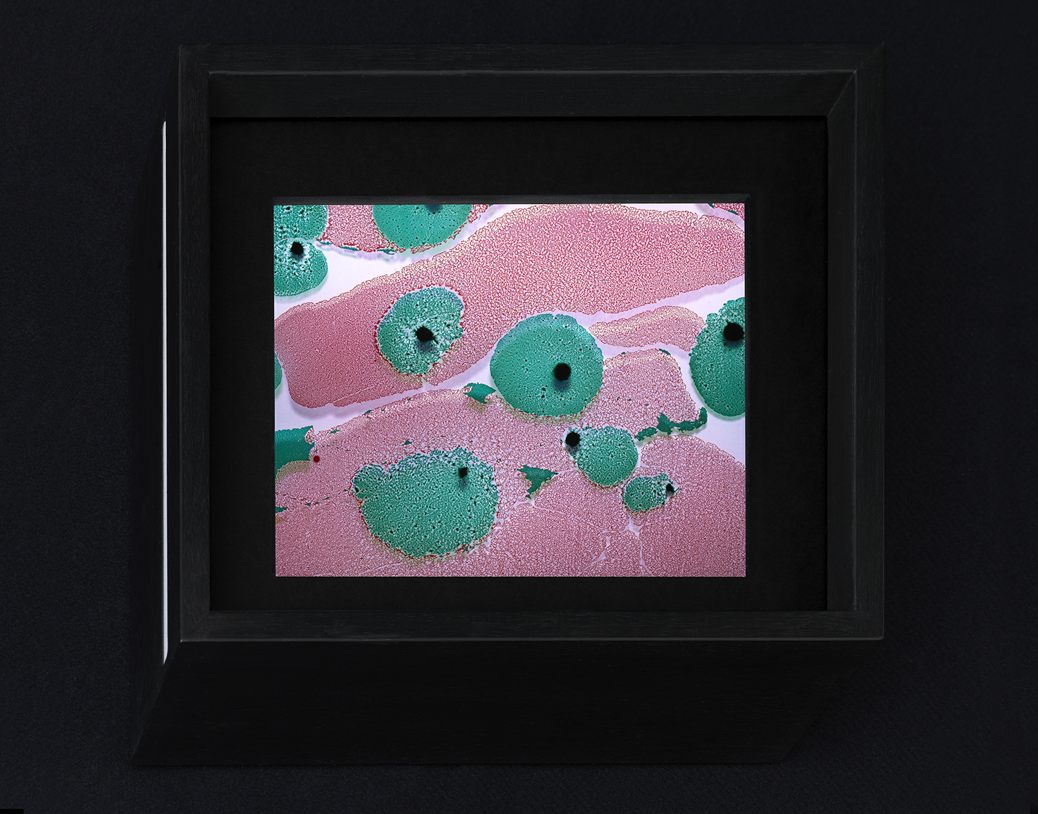 Beatrice Pediconi, Variabile #4 , 2017