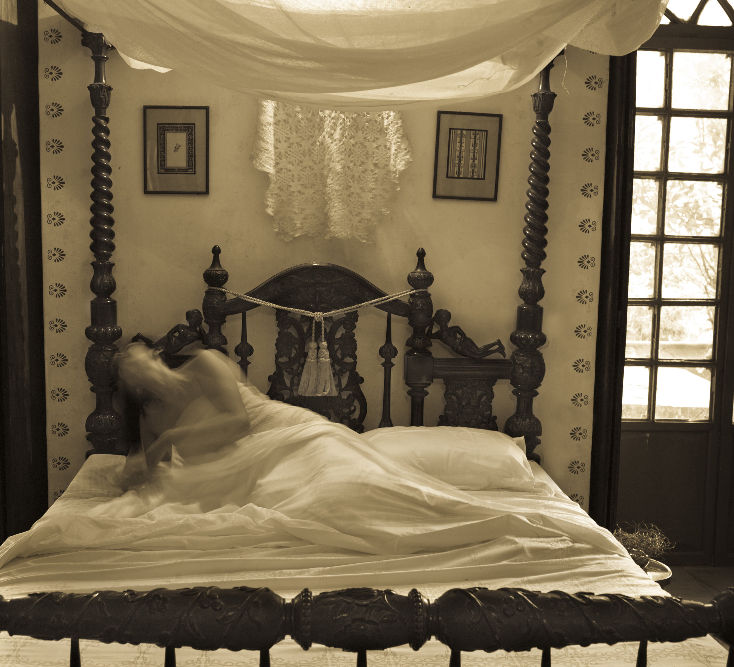  Pamela Sigh,&nbsp; The Lace Bed , 2012 