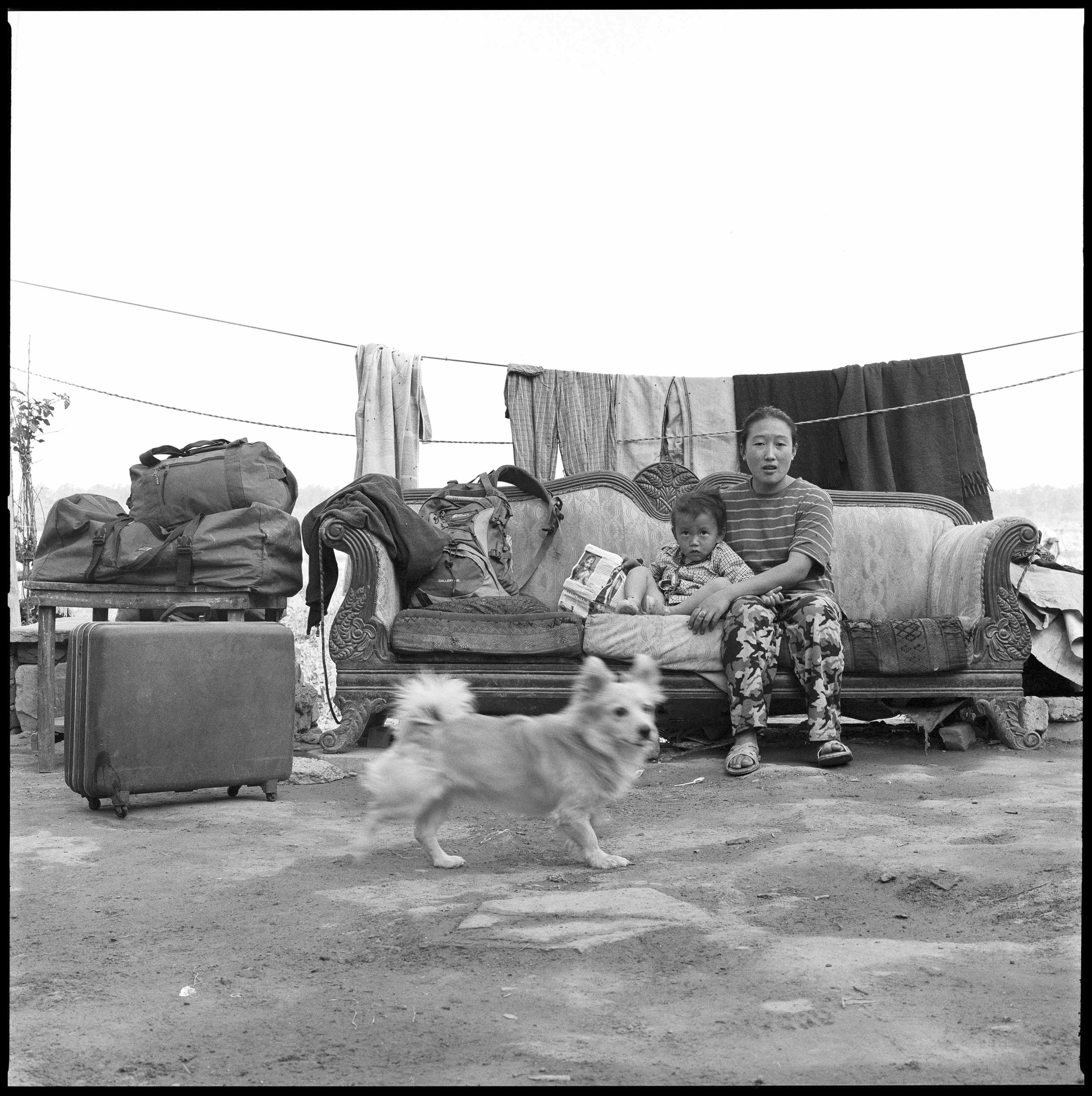 Serena Chopra, Chicken Coop , Delhi 2012