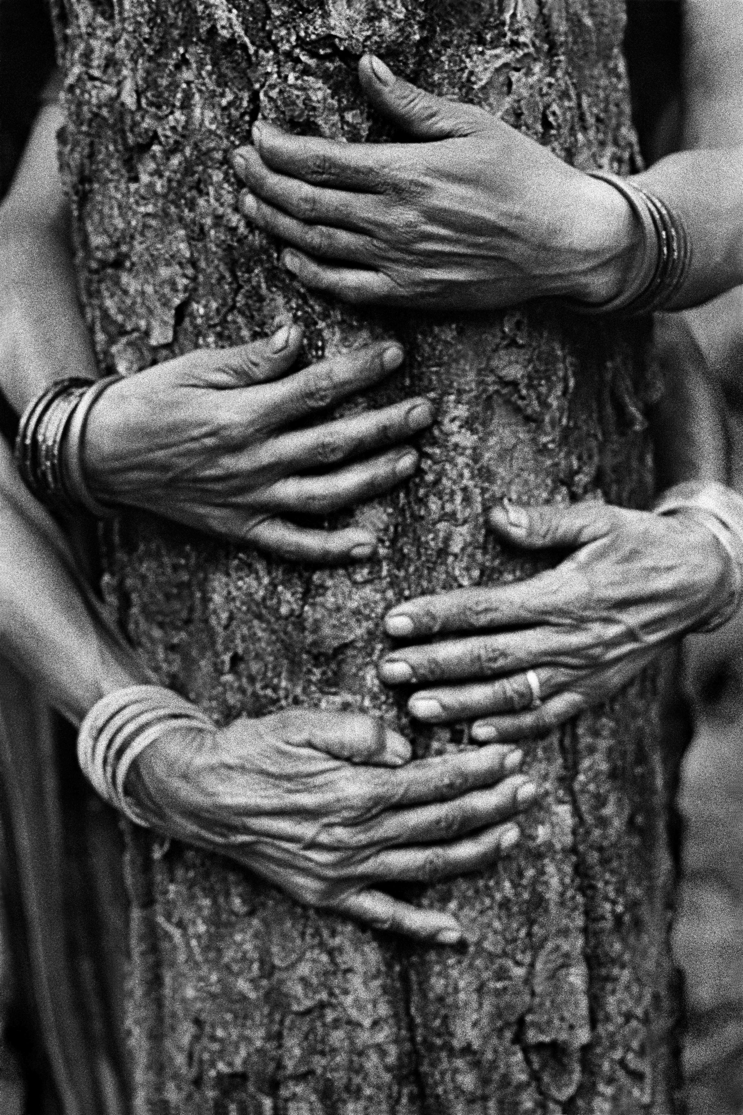 Pamela Singh, Chipko Tree Huggers of the Himalayas #75 , 1994