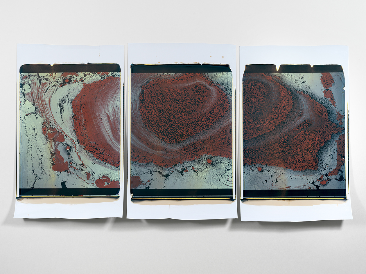  Beatrice Pediconi,  Gaea #2 , 2019. Triptych. Polaroid, Unique, 20 x 24 in. each. 