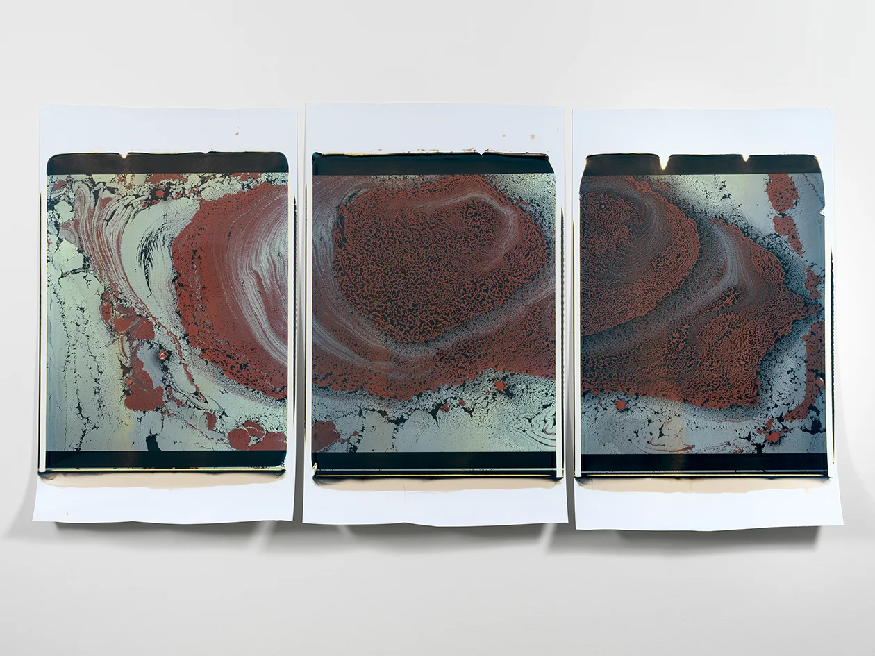 Beatrice Pediconi, Gaea #2 , 2019. Triptych. Polaroid, Unique, 20 x 24 in. each.