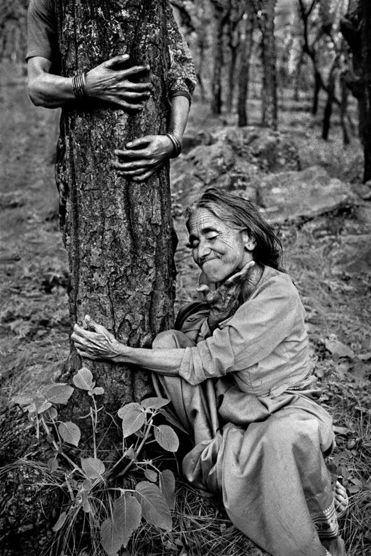  Pamela Singh,  Chipko Tree Huggers of the Himalayas #34,  1994 