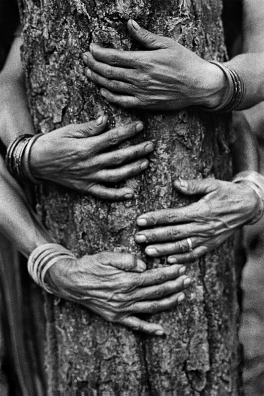  Pamela Singh,  Chipko Tree Huggers of the Himalayas #75,  1994 