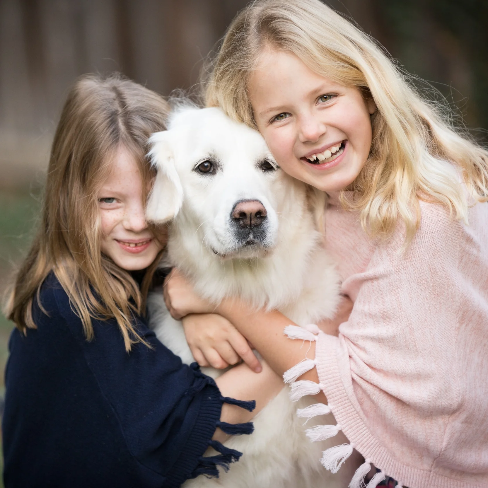 Laughing All the Way